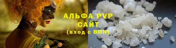гидра Инсар