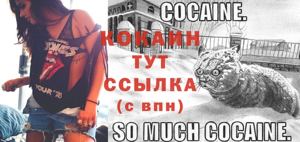 стаф Зеленодольск