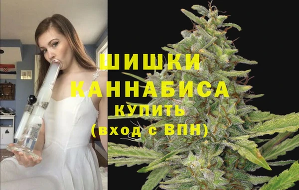 стаф Зеленодольск